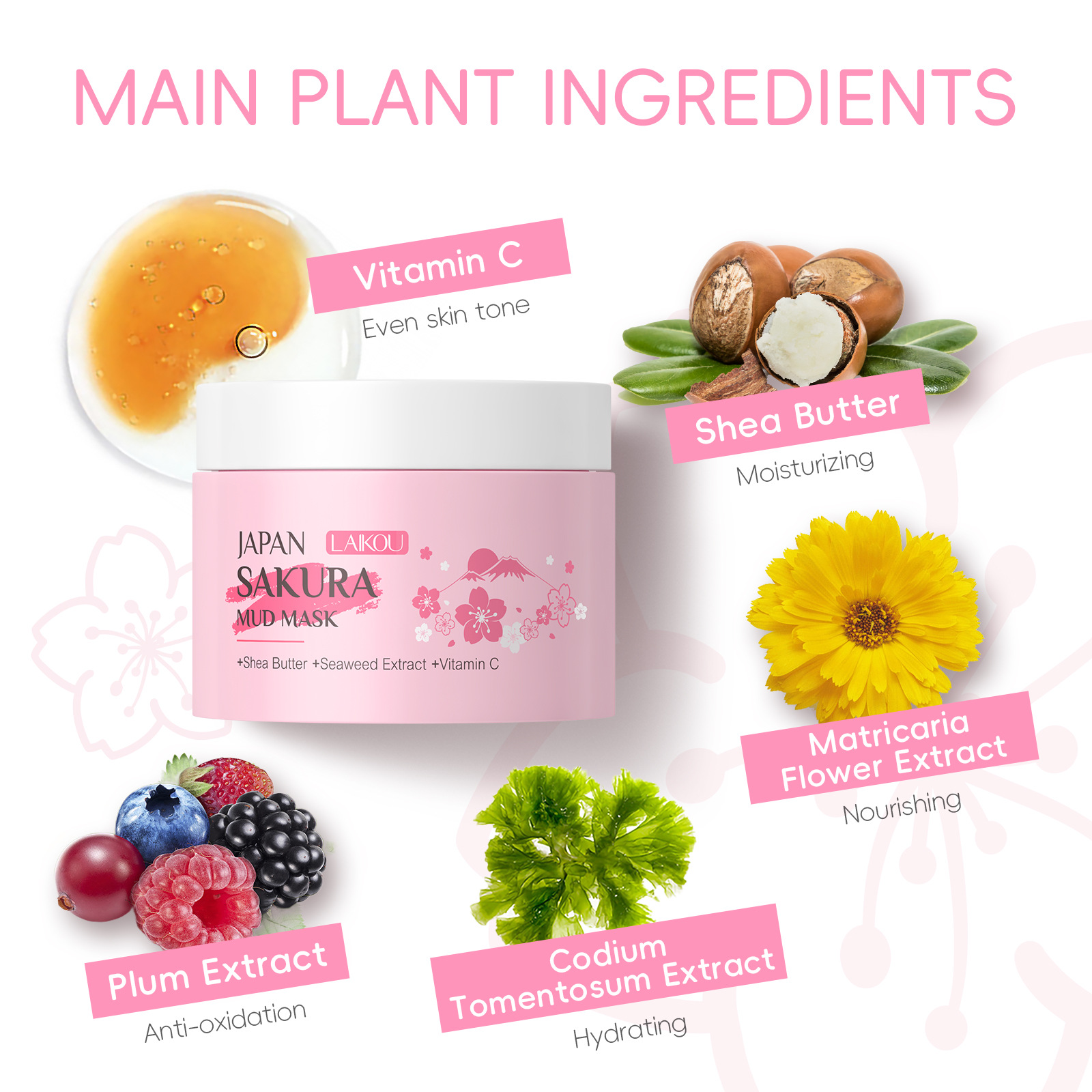 LAIKOU Sakura Clay Mask 25g 90 - Dust Mask Construction avis et prix