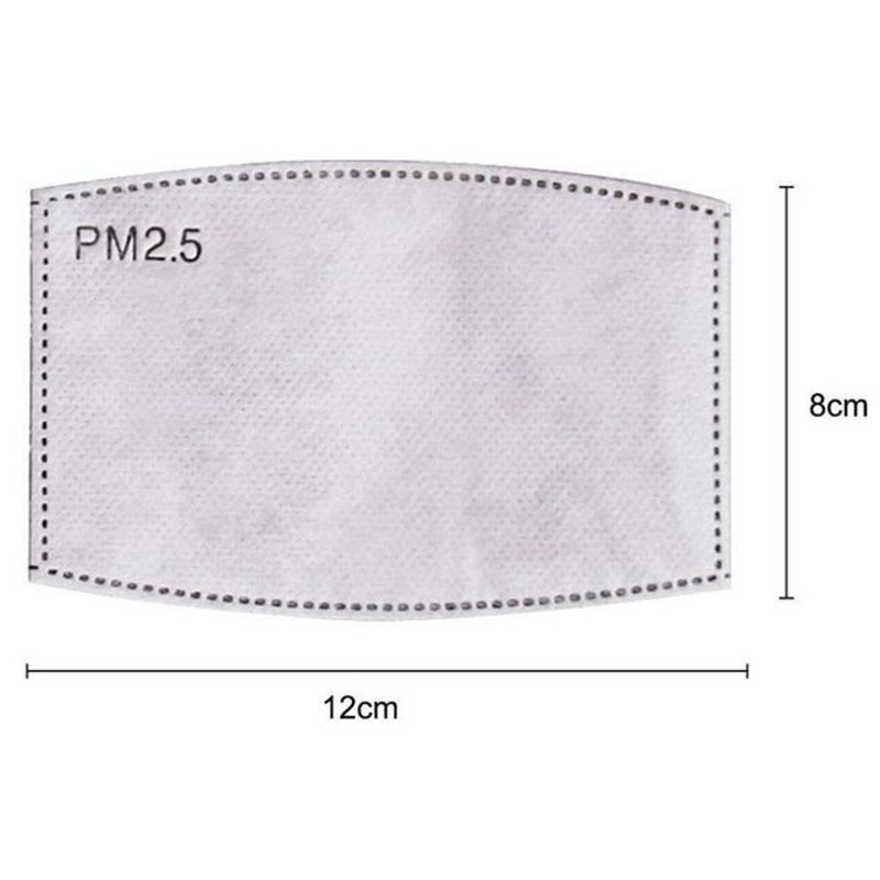 2PCS Mask Filter Element PM2.5 - Pm2.5 Filter Insert avis et prix